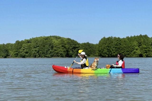 奉贤漫游指南：从海湾潮声到田园荷香，更有多重优惠
