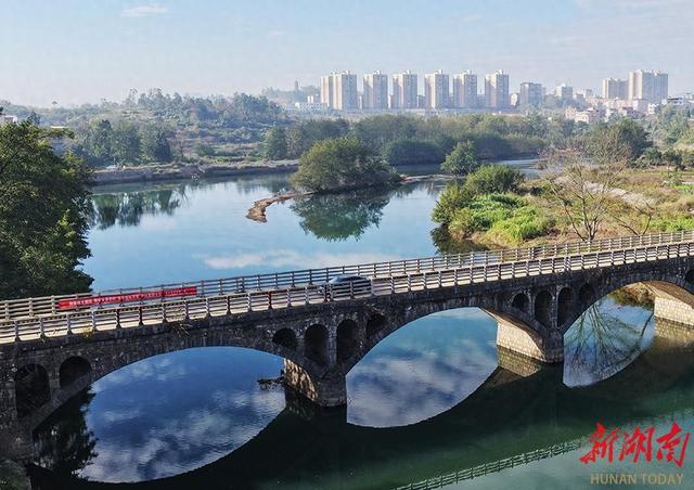 湿地公园景色美