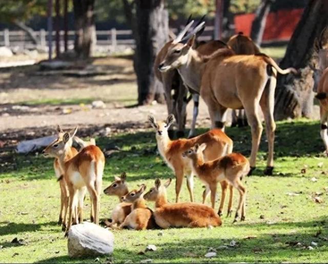 西安多家景区推出淡季优惠票价