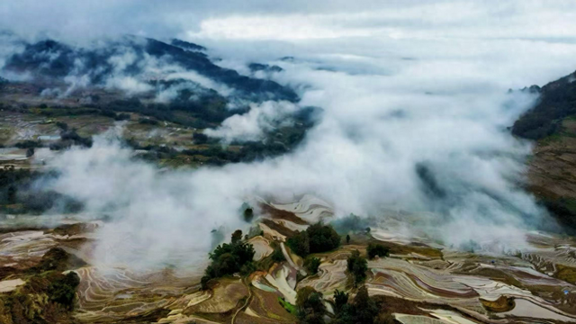 【外眼看云南】被元阳梯田“治愈”的五位国际博主，找到“慢生活”的答案
