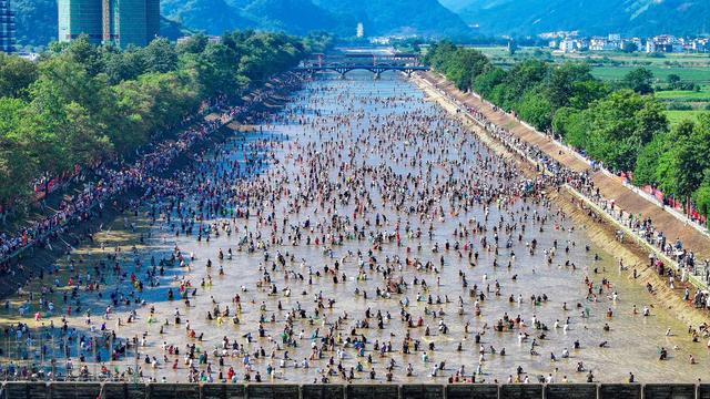稻香鱼跃庆丰收！2025年广东·连南第十一届瑶排梯田稻田鱼文化季开幕