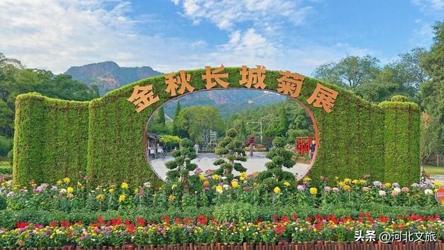 秋游河北悦山河 | 秋色满城，秦皇岛六大绝美场景等你解锁！