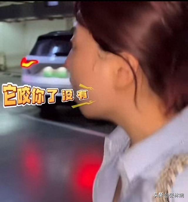 丹阳车库杜宾犬后续！报警却被要求删除视频，狗主人硬刚网友！