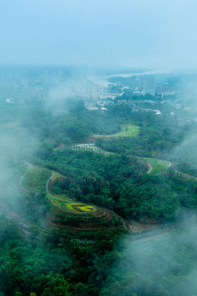 国庆寻幽：邂逅乐山绿心海棠盛景，漫步九大诗境画卷