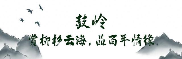 鼓岭vs鼓山？我全都要！