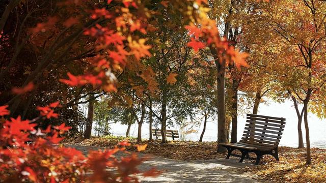 跟着电影去秋游｜这份精选秋日电影旅行地指南，请查收！