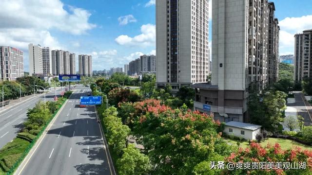 我说“秋天那么美” 栾树：是的！