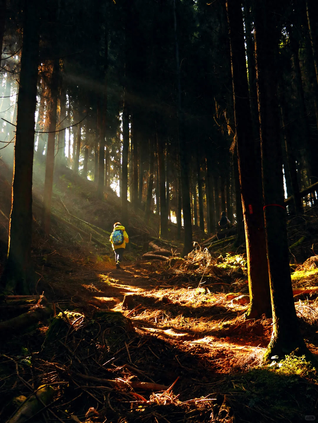 成都2h的新徒步路线，野趣十足、新手友好，免门票免停车费快冲！