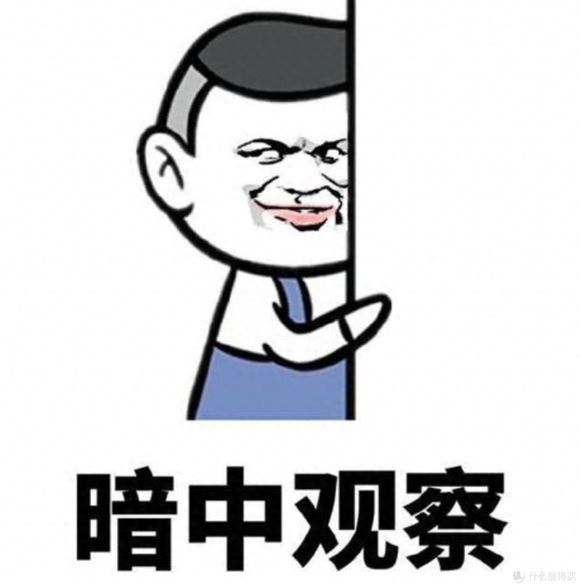 听说realme放了一批870的平板才499元，是外版工程机