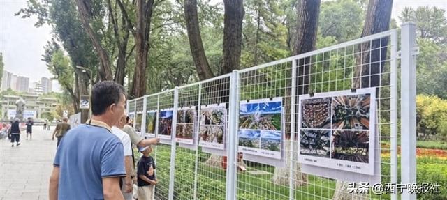 用影像记录西宁南北山风光