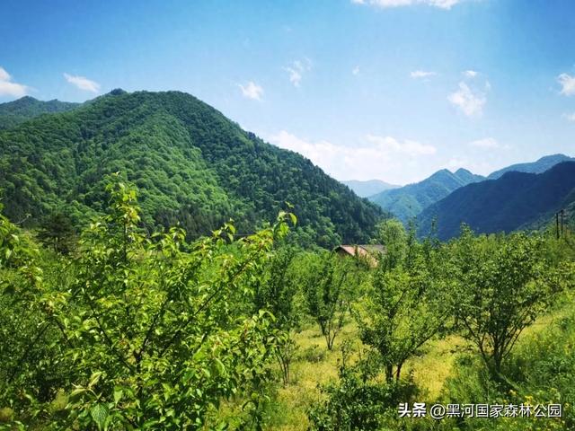夏末初秋,出游正当时,在黑河邂逅夏秋两季交替之美
