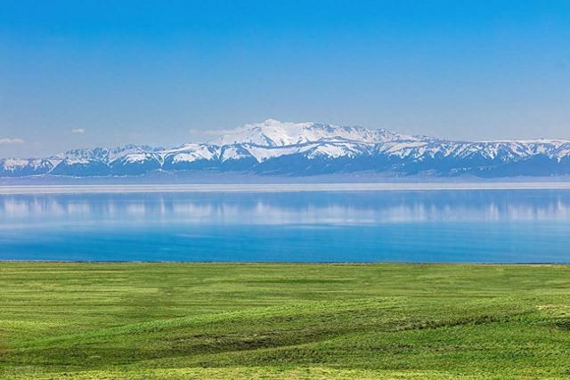 印度科学家声称取得惊人的突破，可以解决人类面临的最大挑战之一