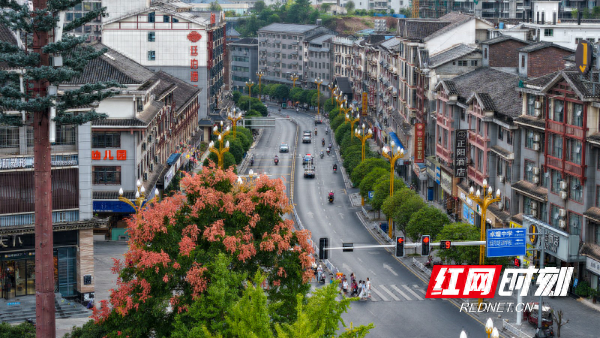 组图丨通道：栾树花开秋意浓