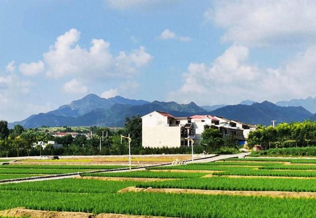 这个买一赠一被人嫌弃的县，却全境免费，倒成了西安人周末的最爱