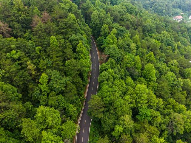 湖南这12条路美出了名，益阳这条你走过吗？