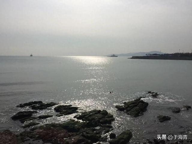 于海青：为何说走在前挑大梁就是青岛努力践行十四五规划的态度？