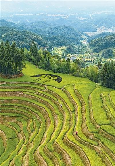 云上的梯田