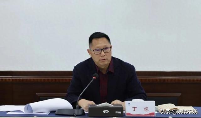 贵州高速副总经理，丁振“翻车”！