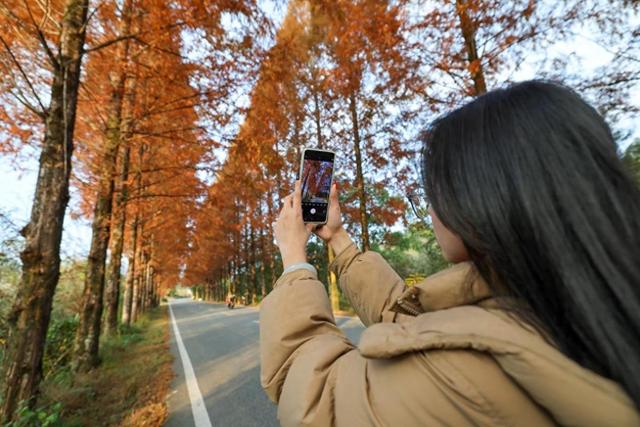 福建：游人乐享武夷冬韵