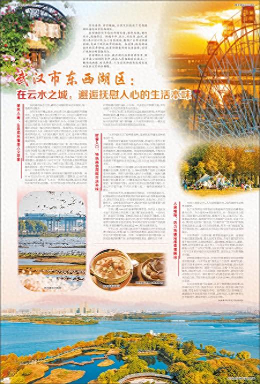 武汉市东西湖区：在云水之城，邂逅抚慰人心的生活本味
