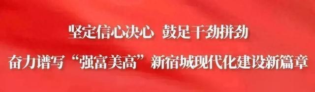 省级案例！宿城入选