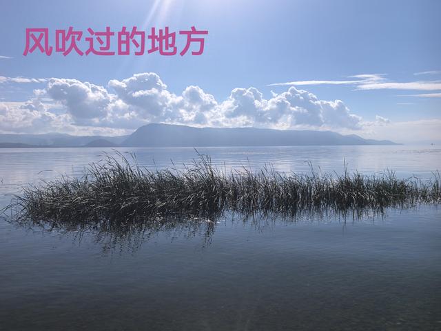 《风吹过的地方》