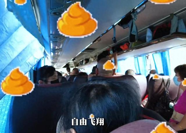 湖北小伙报老年旅行团，大妈在车上当众大便，全车被熏得捂鼻干呕