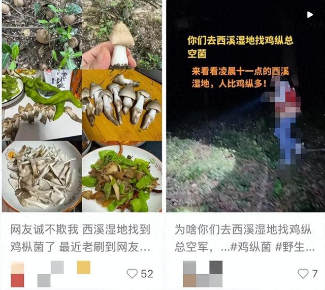 捡不完，根本捡不完！杭州这里一批批人涌入！多平台公告：严禁