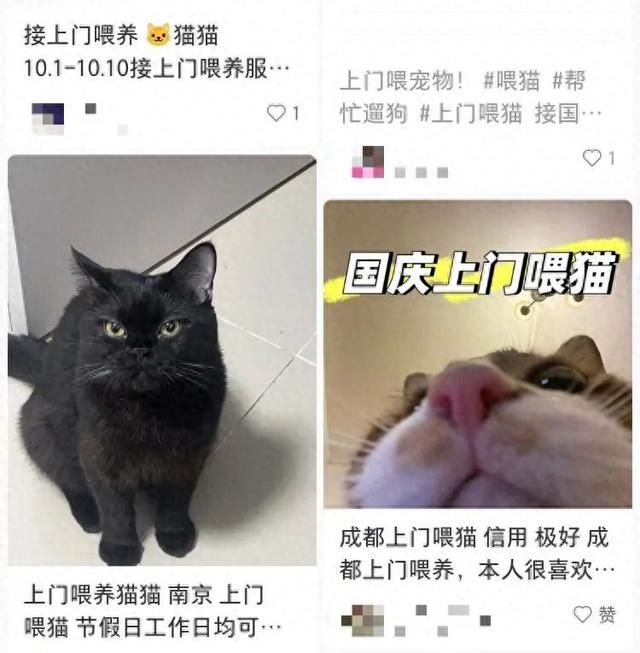 需求激增！男子长假连接270单，其中一笔收费8100元，“我有多套房，有双学位，客户很信任”……律师提醒