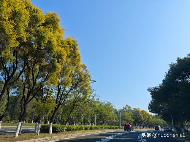 广州随意逛2024——梁明成雕塑公园
