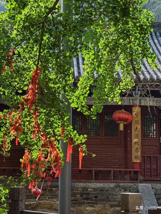 我西安人，去了一趟河南荥阳回来，忍不住想说：对荥阳的5点印象