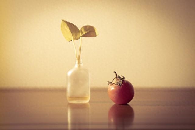 永垂不朽的朽是什么意思（高中语文 选择性必修上册教材相关成语积累全）