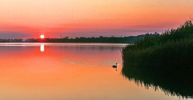 苇梢上的落日，是独属于淄博这里的浪漫！