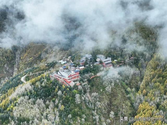 五台山景区： 免费为游客赠送雨衣 温情暖身又暖心