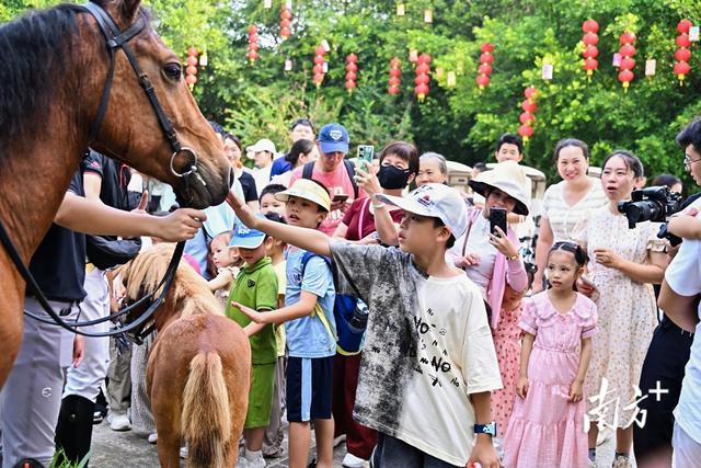 解锁湾区“童趣新地标”！云东海提前点燃新年欢乐