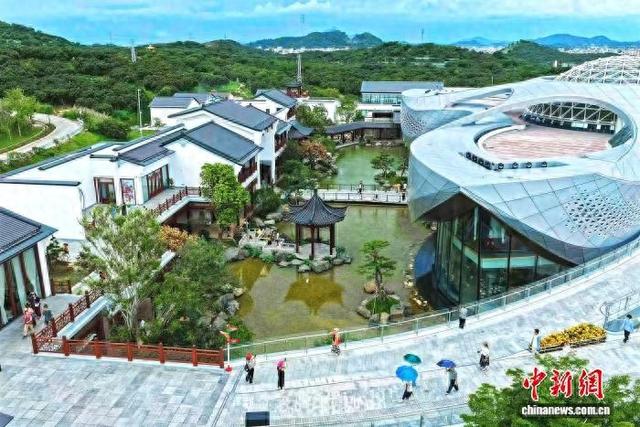 自驾出游新体验：暑期广东服务区成新景点