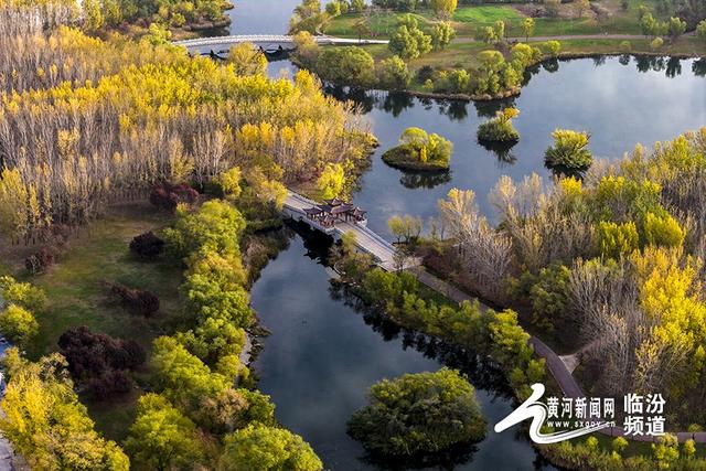 【视觉临汾】初冬临汾层林尽染 城市湿地如诗如画