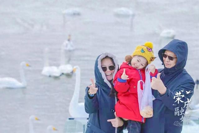 坐上“天鹅专列”，去荣成赴一场冬日的浪漫之约