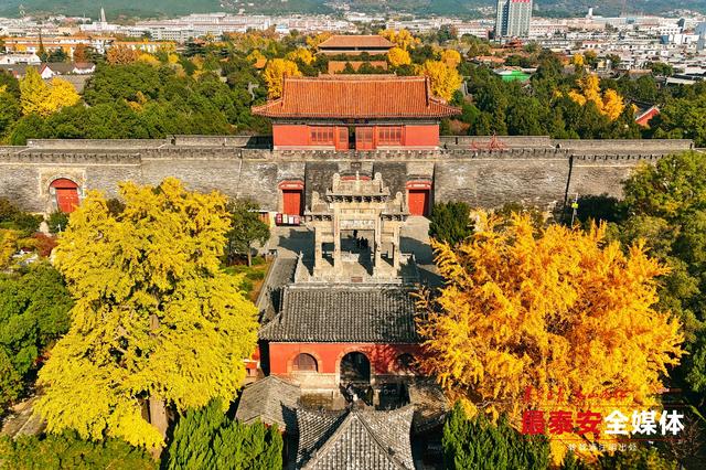 千年岱庙 一庭秋色