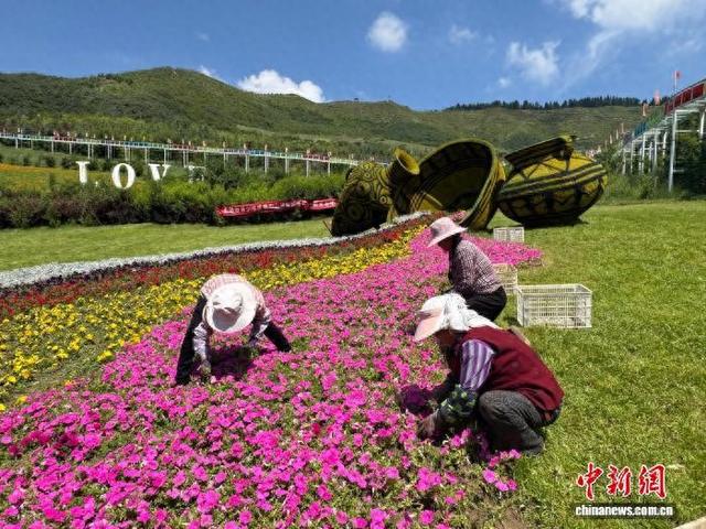 （活力中国调研行）青海东部小村观“花海”走“花路”