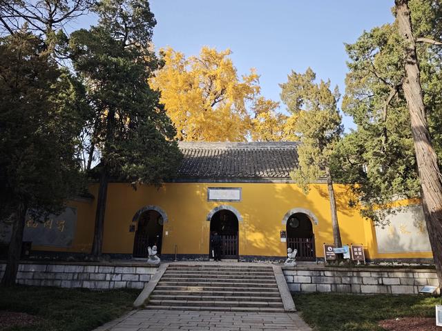 江苏扬州镇江南京五日游