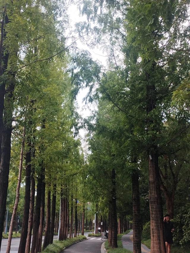 骑鹅下扬州之瘦西湖是真“瘦”，游过仅是后悔，那是真费腿啊