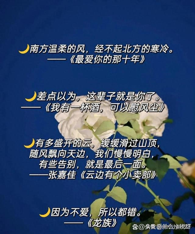 小说里最虐心的句子（小说里把你虐哭的句子）