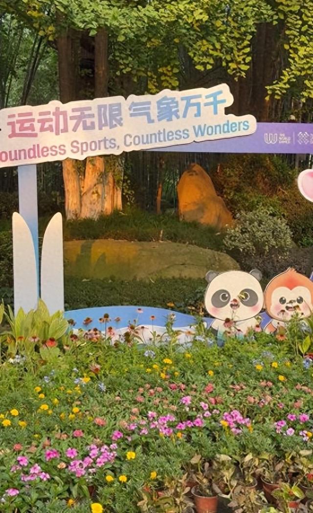 世运会激情燃烧，成都好吃好喝好玩全攻略