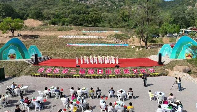 潍坊诸城桃园区第二届障日山茶果文化节开幕