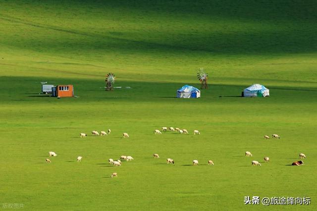 想找个地方彻底放松下，双飞 6 日游内蒙古，这些玩法还挺绝的