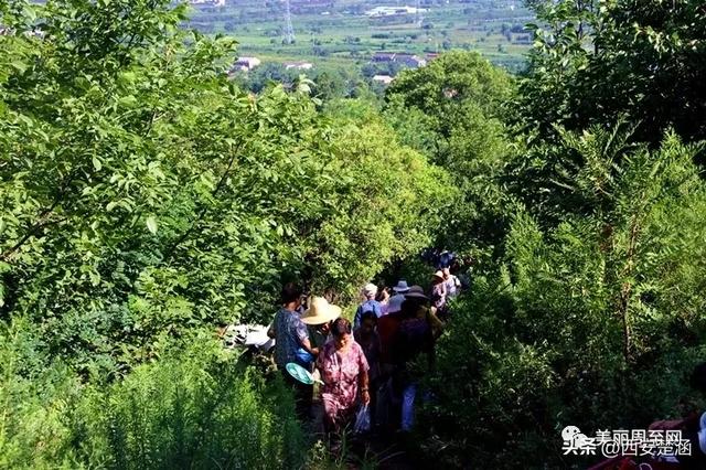 山不见我,我去见山:圆疙瘩山古会,等风也等你