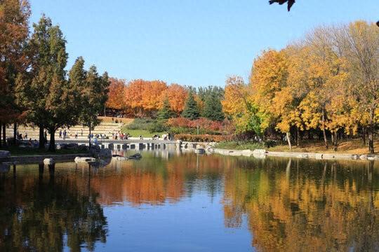 我是山东人刚从辽宁营口回来，实在忍不住想说：对营口的5点印象