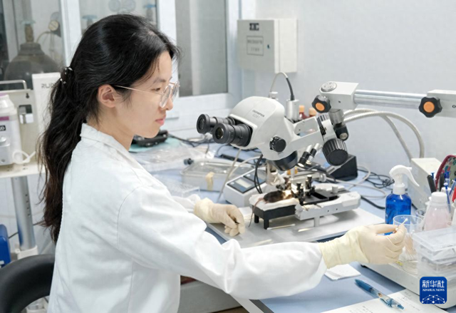 开启脑科学“彩色视界”：我国成功研制多色微型化双光子显微镜