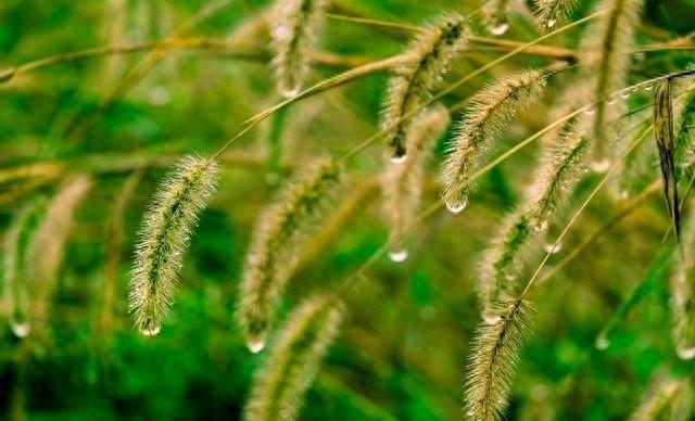 河南！新一轮降雨中心已定，大雨暴雨分布如下，今日～23日天气！